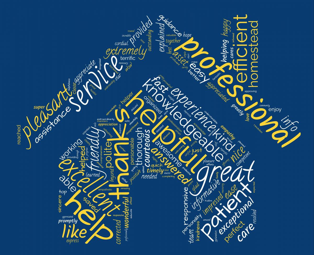 Collage of descriptive words used by our customers such as professional, helpful, knowledgeable, excellent, friendly, patient.